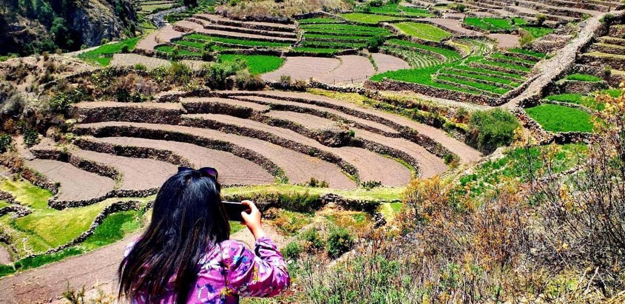 Hotel Misky Punuy - Valle Del Sondondo Andamarca 외부 사진