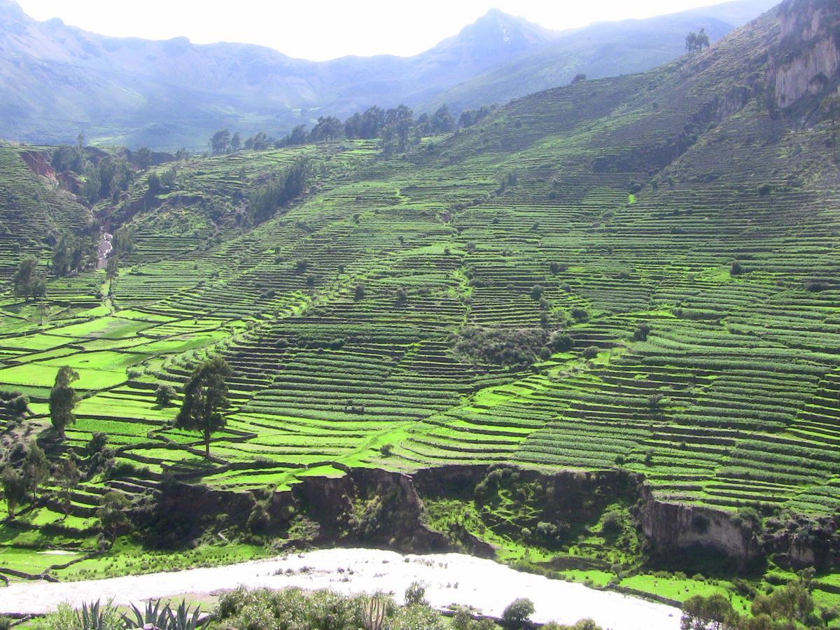 Hotel Misky Punuy - Valle Del Sondondo Andamarca 외부 사진
