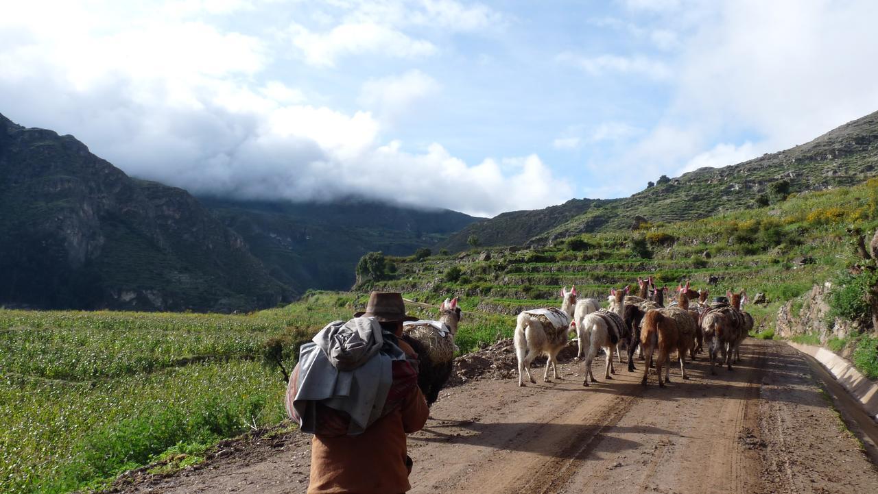 Hotel Misky Punuy - Valle Del Sondondo Andamarca 외부 사진