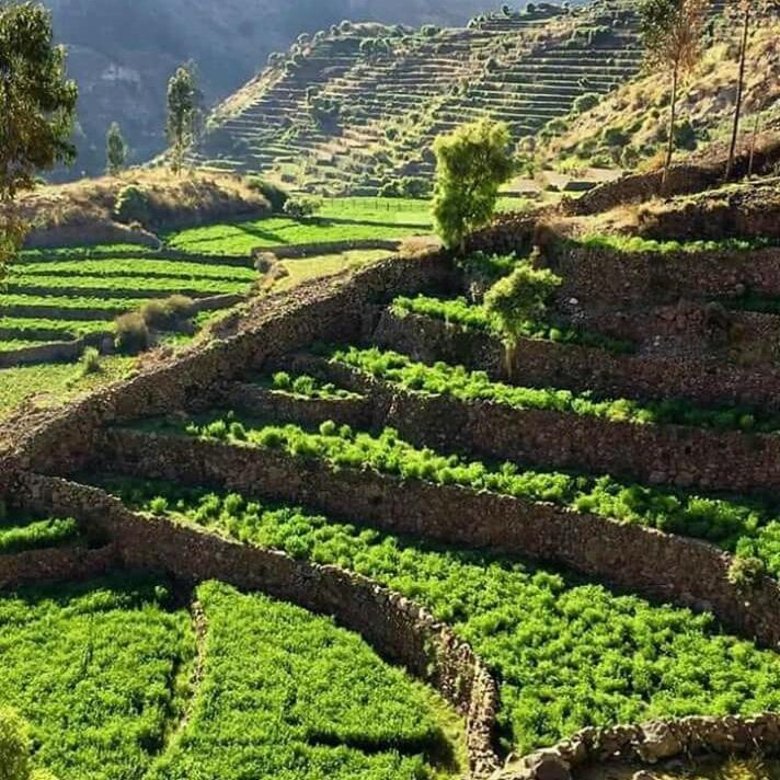 Hotel Misky Punuy - Valle Del Sondondo Andamarca 외부 사진