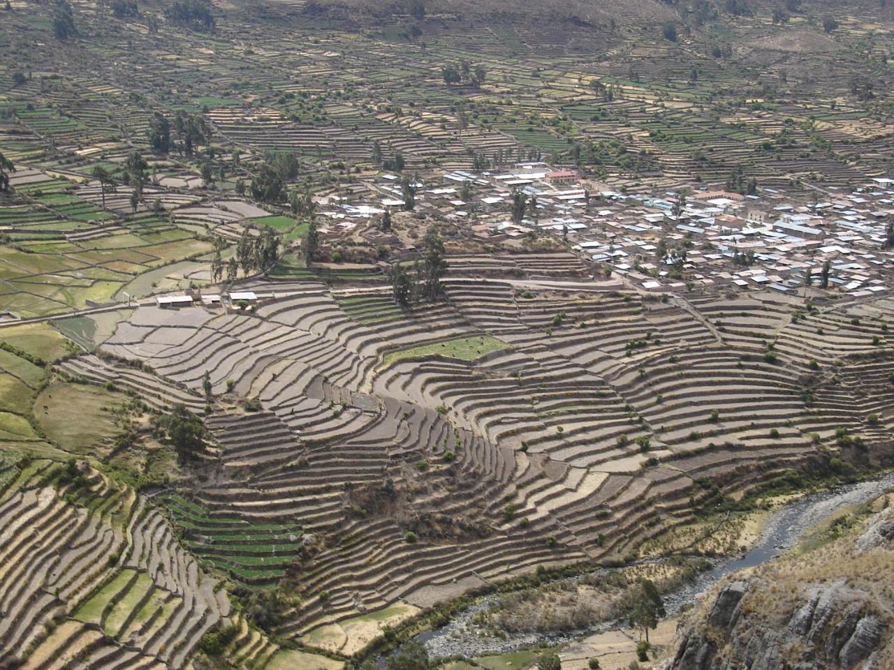 Hotel Misky Punuy - Valle Del Sondondo Andamarca 외부 사진